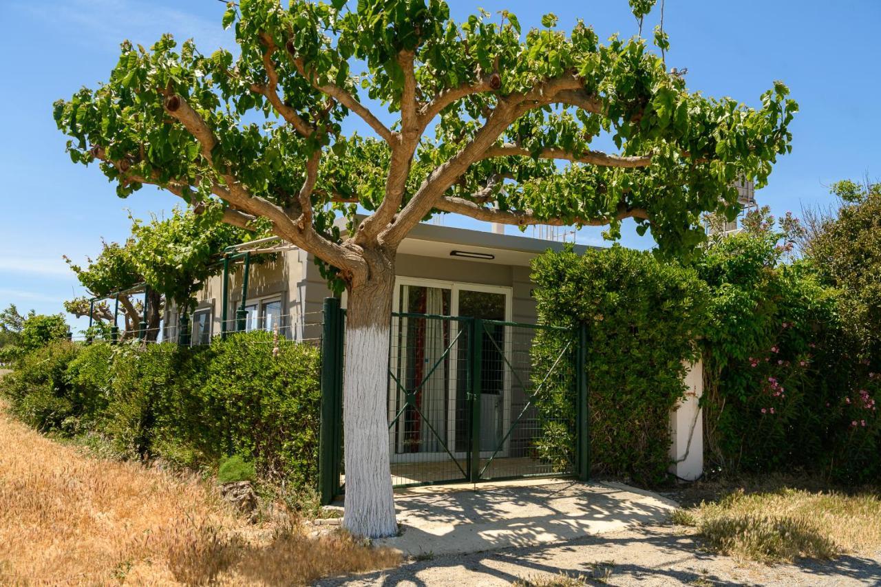 Petrakis Afrathias Garden House Vila Kalamaki  Exterior foto